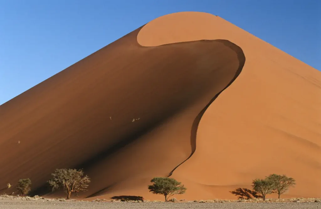 A sand dune in the Namib Desert