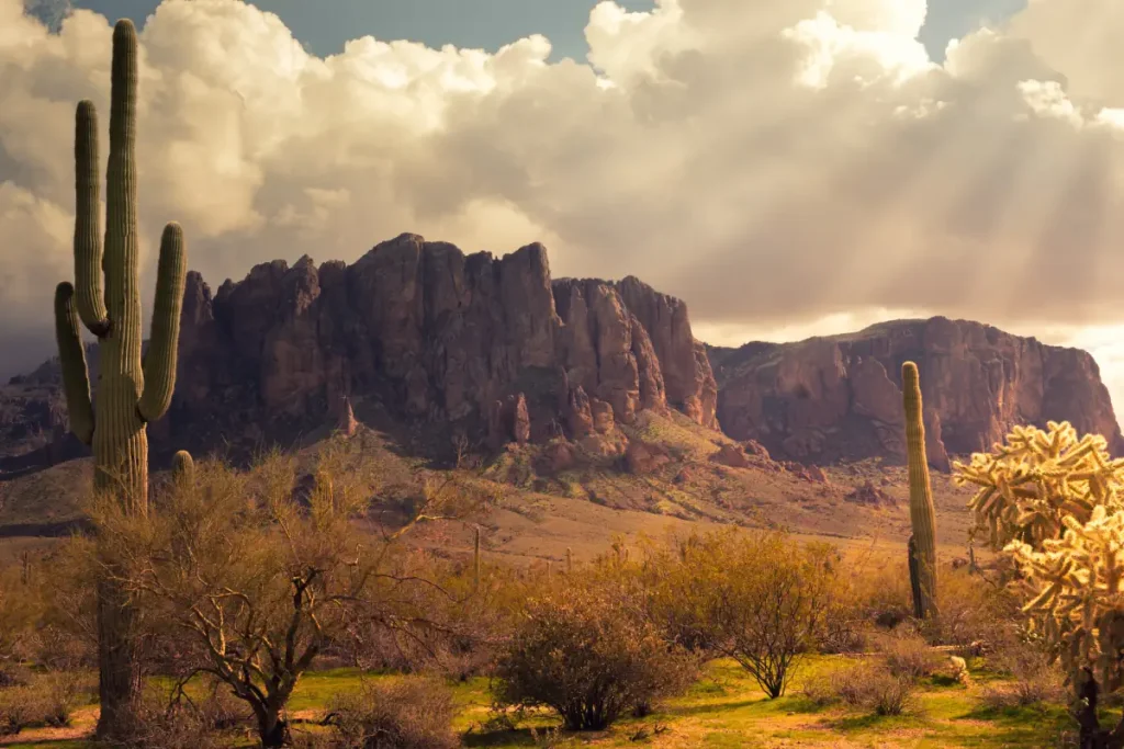 Sonoran Desert, Arizona landscape