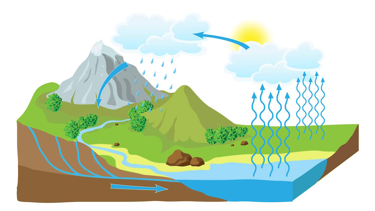 Vector schema of the water cycle in nature