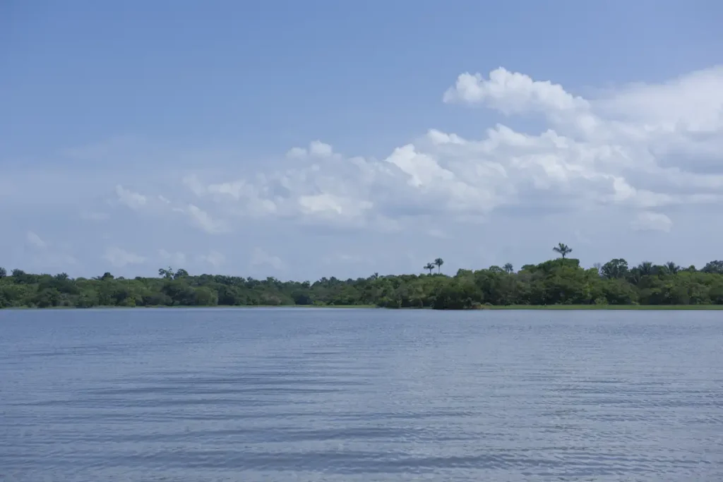 New 7 Wonders of Nature: Amazon River