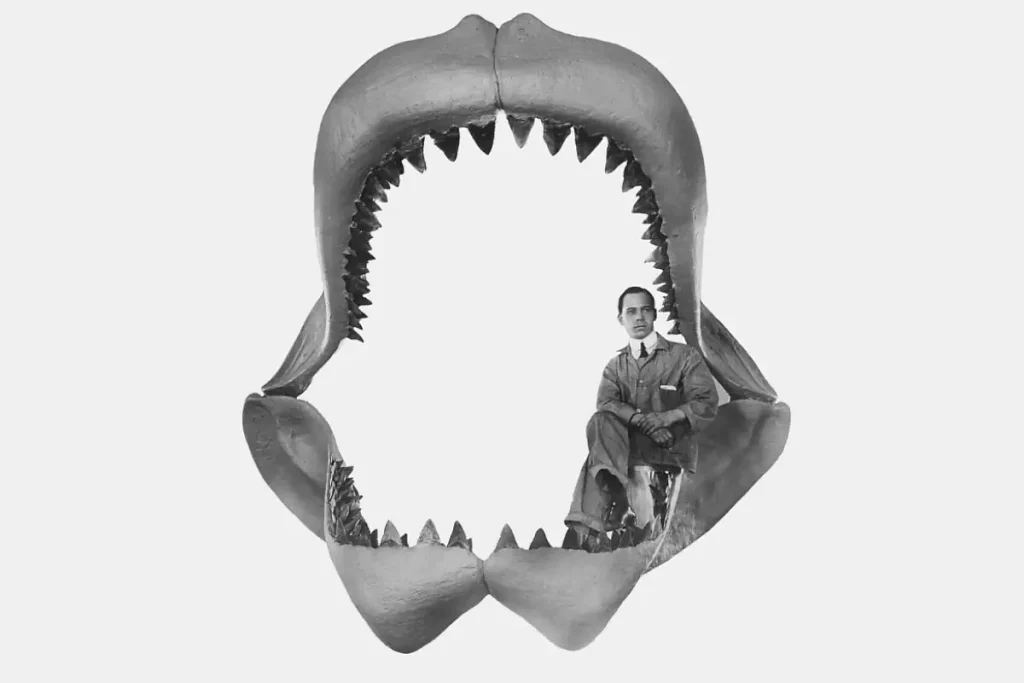 Megalodon reconstruction (Bashford Dean, 1909)