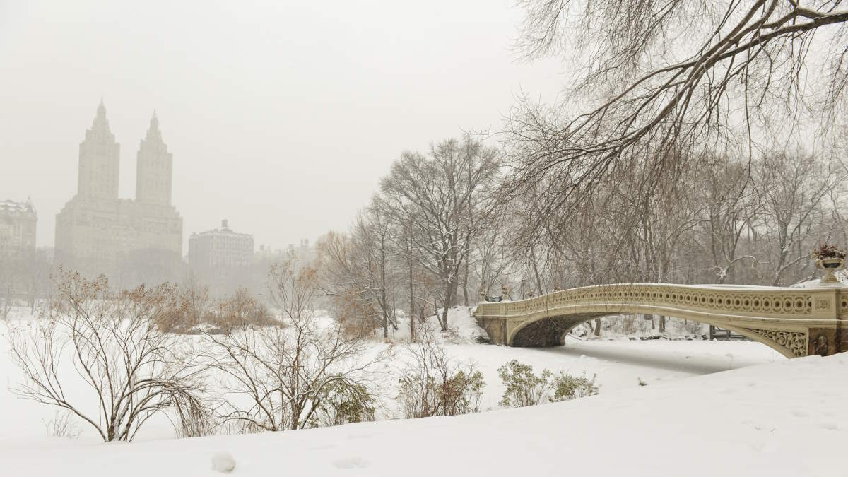Central Park under heavy snow